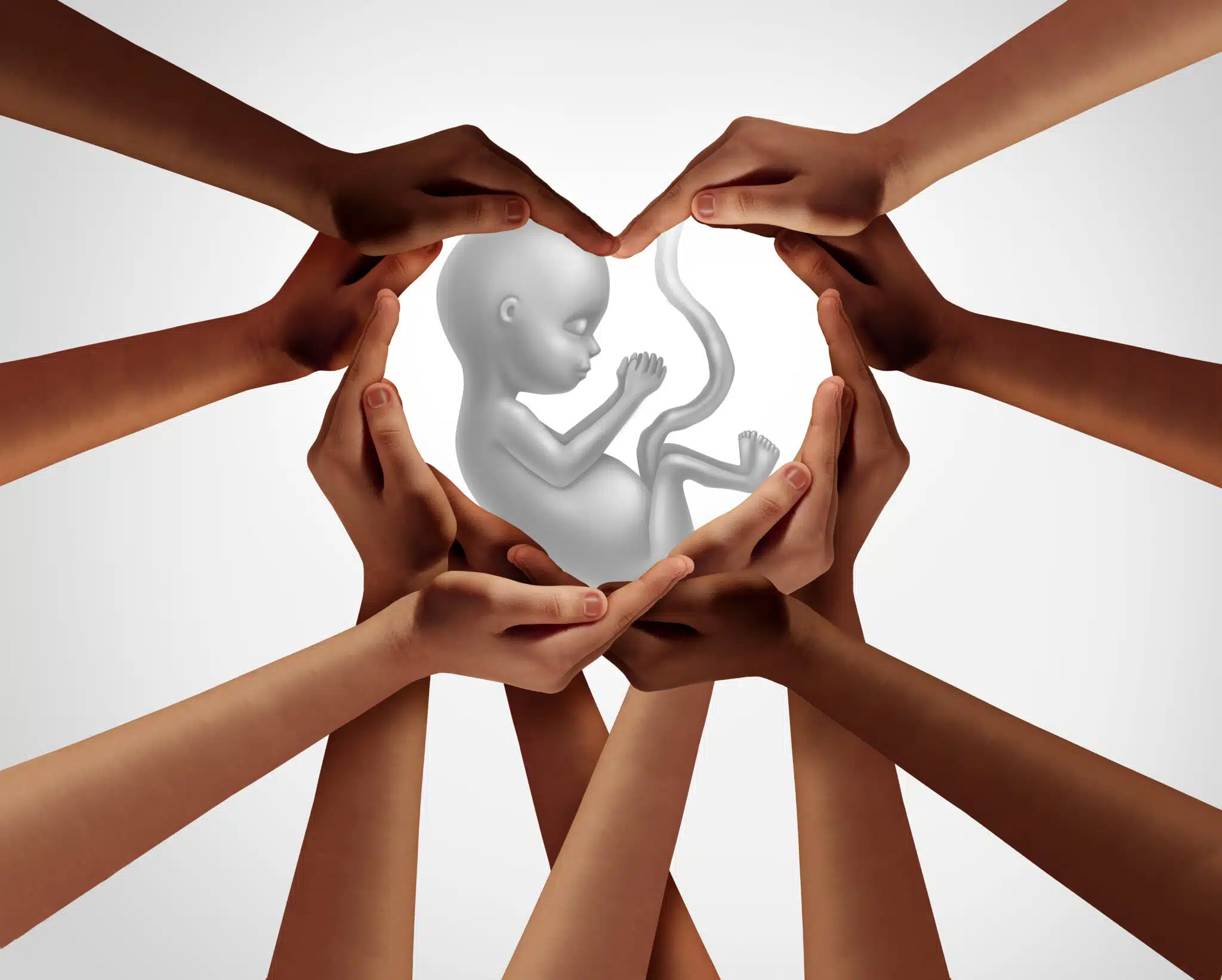 hands holding image of preborn child