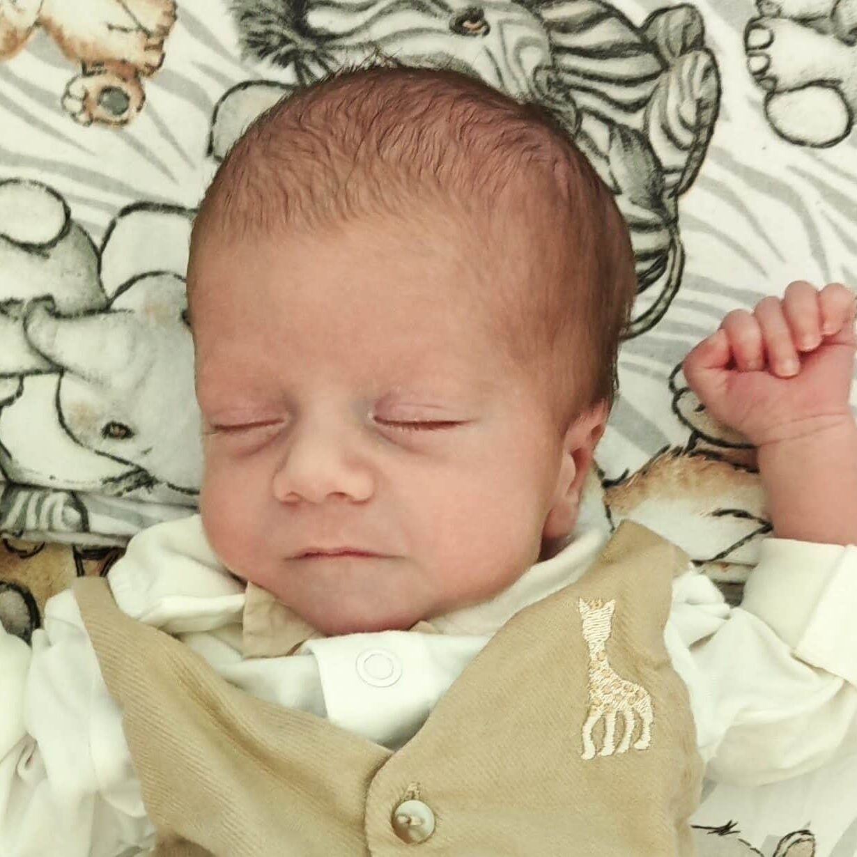 When Margit had nowhere to turn, she asked HLI Hungary to help her find a loving family for her preborn son. Today, Miklós is growing up in a safe and loving home.