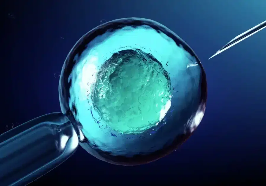 Assisted Reproduction: Your Comprehensive Guide