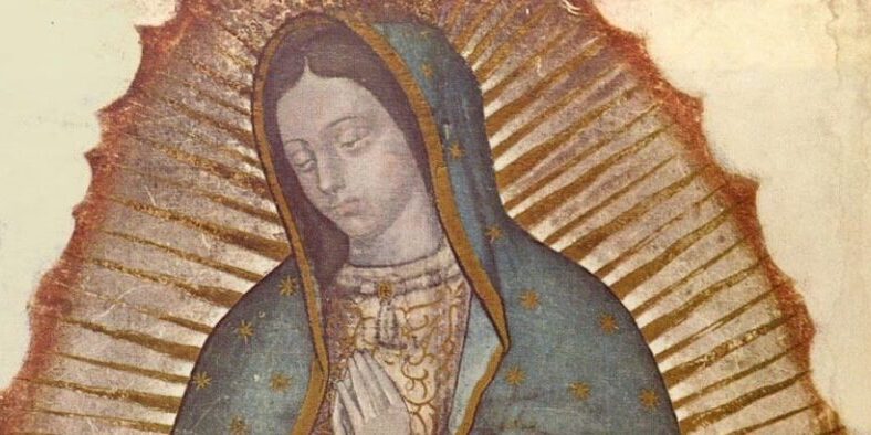 our lady of guadalupe waist up